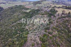 Agricultural 6579 sq.m for sale