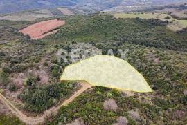 Agricultural 6579 sq.m for sale