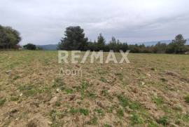 Agricultural 11868 sq.m for sale