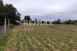 Agricultural 11868 sq.m for sale