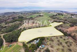 Agricultural 11868 sq.m for sale