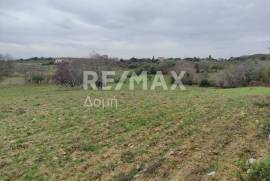 Agricultural 11868 sq.m for sale