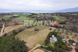 Agricultural 11868 sq.m for sale