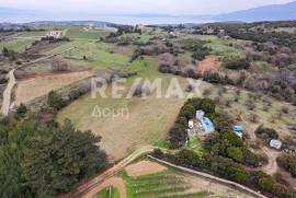 Agricultural 11868 sq.m for sale