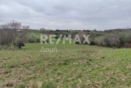 Agricultural 11868 sq.m for sale