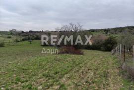 Agricultural 11868 sq.m for sale