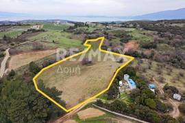 Agricultural 11868 sq.m for sale