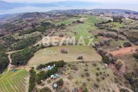 Agricultural 11868 sq.m for sale