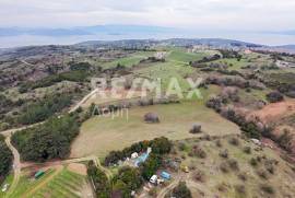 Agricultural 11868 sq.m for sale