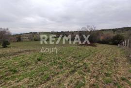 Agricultural 11868 sq.m for sale