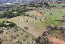 Agricultural 11868 sq.m for sale