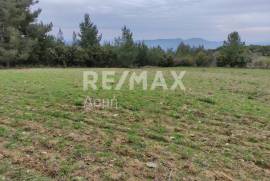 Agricultural 11868 sq.m for sale