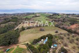 Agricultural 11868 sq.m for sale