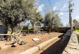 Villa Estremoz São Domingos de Ana Loura Villa Estremoz São Domingos de Ana Loura