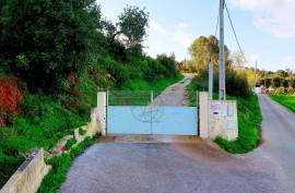 Farm with 27840 m2 in the municipality of Portimão
