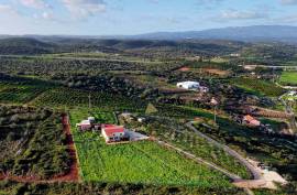 Farm with 27840 m2 in the municipality of Portimão