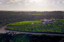 Farm with 27840 m2 in the municipality of Portimão