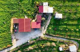 Farm with 27840 m2 in the municipality of Portimão