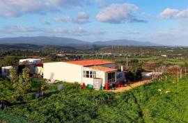 Farm with 27840 m2 in the municipality of Portimão