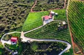 Farm with 27840 m2 in the municipality of Portimão