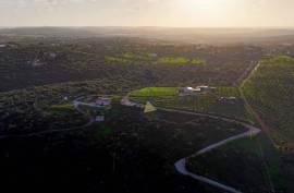 Farm with 27840 m2 in the municipality of Portimão