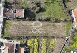 Rustic Land with Excellent Access and Plenty of Water for Irrigation – Chaves