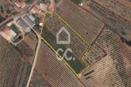 Land Bombarral Barrolobo Land Bombarral Barrolobo