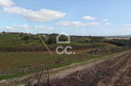 Land Bombarral Barrolobo Land Bombarral Barrolobo