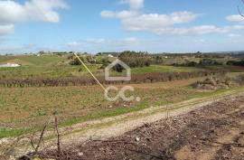 Land Bombarral Barrolobo Land Bombarral Barrolobo