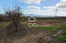 Land Bombarral Barrolobo Land Bombarral Barrolobo