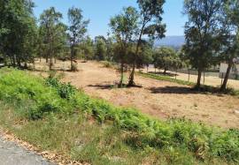 Apartment Vila Verde