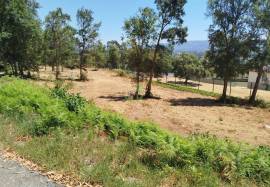 Apartment Vila Verde