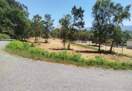 Apartment Vila Verde