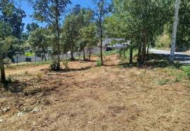 Apartment Vila Verde