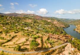 Urban land with 4,972 m² with approved PIP, overlooking the Douro River, located in Caldas de Aregos