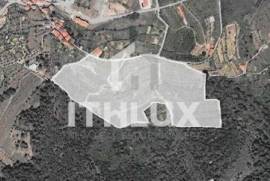 Farm with 7 ha in Gouviães – Tarouca (Viseu) Farm with 7 ha in Gouviães – Tarouca (Viseu)