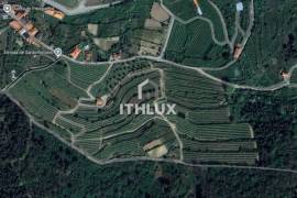 Farm with 7 ha in Gouviães – Tarouca (Viseu) Farm with 7 ha in Gouviães – Tarouca (Viseu)