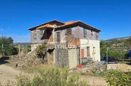 Farm with 7 ha in Gouviães – Tarouca (Viseu) Farm with 7 ha in Gouviães – Tarouca (Viseu)