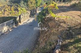 Farm with 7 ha in Gouviães – Tarouca (Viseu) Farm with 7 ha in Gouviães – Tarouca (Viseu)