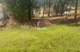 Land with Construction Feasibility – Amêndoa, Mação (Santarém) Land with Construction Feasibility – Amêndoa, Mação (Santarém)