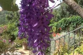 Stunning 3 bed La Casa de la Panzona Finca For Sale in Estepona Spain