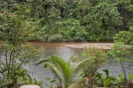 Flowing River Retreat for Sale In Llurimagua Ecuador Flowing River Retreat for Sale In Llurimagua Ecuador