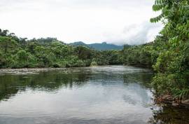 Flowing River Retreat for Sale In Llurimagua Ecuador Flowing River Retreat for Sale In Llurimagua Ecuador