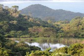 Excellent Plot of land for sale in Khamanga Bay Private Residential Estate South Africa