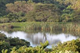 Excellent Plot of land for sale in Khamanga Bay Private Residential Estate South Africa