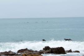 Excellent Plot of land for sale in Khamanga Bay Private Residential Estate South Africa