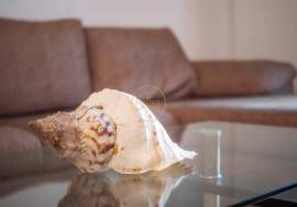 2 Bedroom Apartment Furnished and equipped, Air conditioning and Garage Parking! Close to the beach and golf course! 2 Bedroom Apartment Furnished and equipped, Air conditioning and Garage Parking! Close to the beach and golf course!