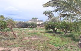 Sale of Casa de Campo (Elche).