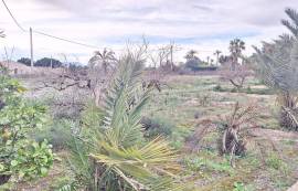 Sale of Casa de Campo (Elche).