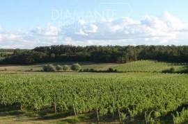 CDL1807 – Agricultural land with productive vineyard and storage building